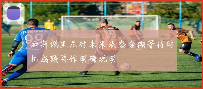 加斯佩里尼对未来表态含糊等待时机成熟再作明确说明
