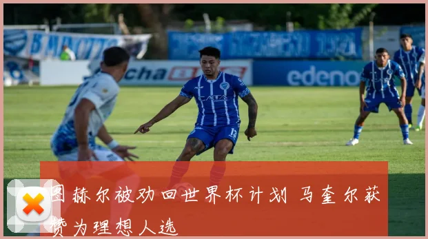 图赫尔被劝回世界杯计划 马奎尔获赞为理想人选
