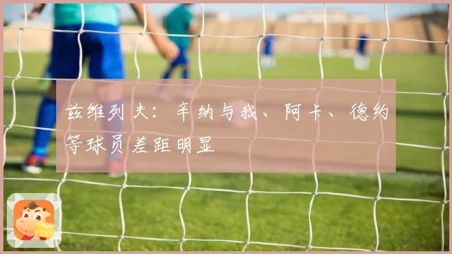 兹维列夫：辛纳与我、阿卡、德约等球员差距明显